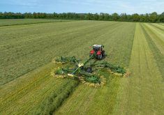 Andaineur Swadro de Krone