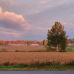 Photo:`Pierre-Yves Pettigrew-Blanchet de Ferme Becan, Centre-du-Québec