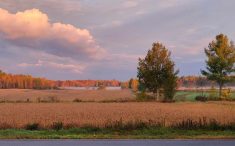 Photo:`Pierre-Yves Pettigrew-Blanchet de Ferme Becan, Centre-du-Québec