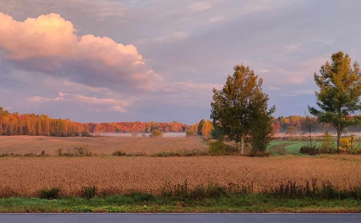 Photo:`Pierre-Yves Pettigrew-Blanchet de Ferme Becan, Centre-du-Québec