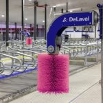 Des brosses roses contre le cancer
