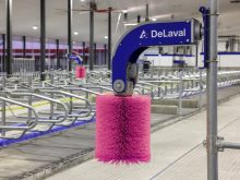 Des brosses roses contre le cancer