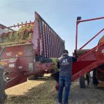 Récolte de maïs ensilage