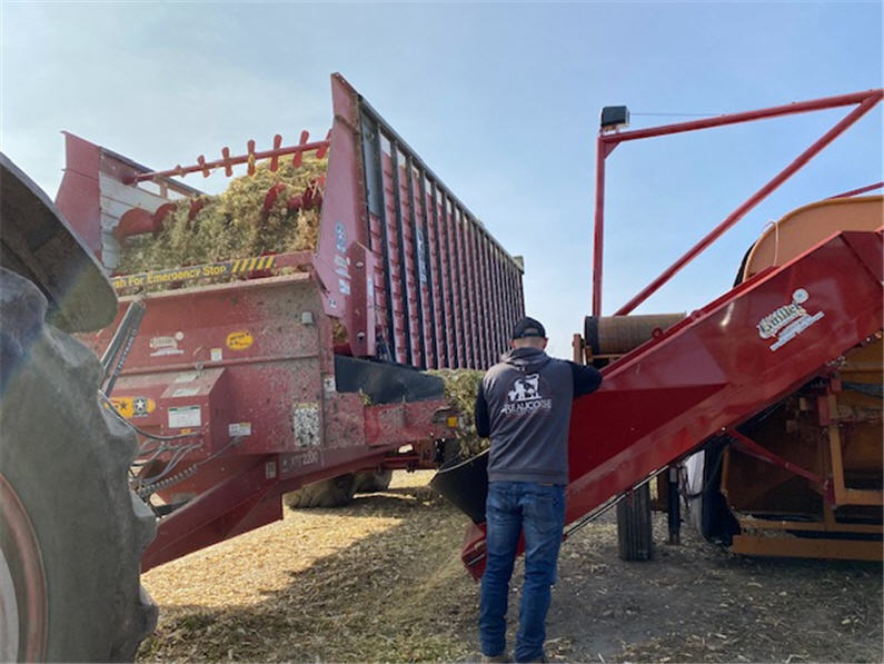 Récolte de maïs ensilage 