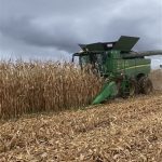 Récolte chez la Ferme Catélie le 16 octobre.