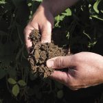 La santé des sols au Canada en péril selon un rapport