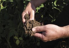 La santé des sols au Canada en péril selon un rapport