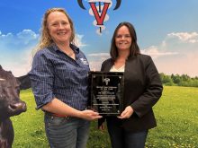 AABP Bovine Practioner of the Year, Jodi Wallace