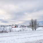 L'hiver 2023-2024 devrait être doux et moins neigeux en partie.
