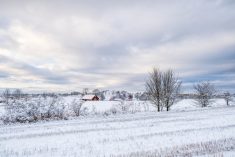 L'hiver 2023-2024 devrait être doux et moins neigeux en partie.