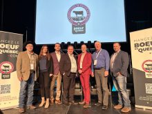 Producteurs de bovins du Québec