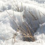 Vous avez manqué ces articles?