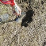 Échantillonnage des sols et sécheresse