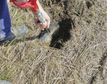 Échantillonnage des sols et sécheresse
