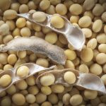 Semaine mouvementée sur les marchés