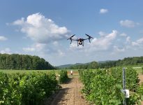 Photo : Martin Trudeau, Centre de la lutte antiparasitaire - Agriculture et Agroalimentaire Canada