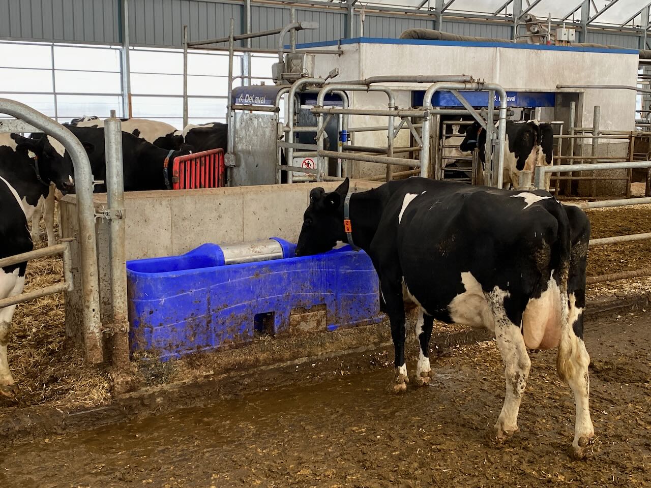 Ferme GPL