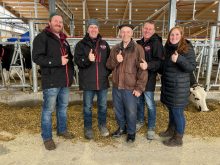 Ferme Berni, étable laitière