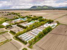 Cultiver d’abord l’humain pour mieux cultiver la terre