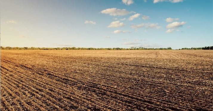 Un rapport dévoile la valeur des terres vendues au Québec