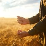 Vous avez manqué ces articles?