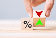 Une baisse des taux d’intérêt prévue en 2024