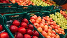 Inflation : moins de produits frais et de produits biologiques