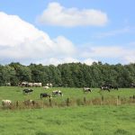 La ferme La Station fait partie des 10 fermes canadiennes choisies pour sa campagne Récits de régénération.
