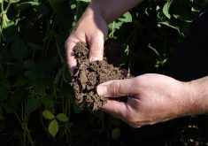 Photo: André Piette