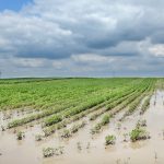 Près de 1700 avis de dommages à la Financière