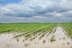 Un rapport recommande d’accélérer le soutien aux agriculteurs