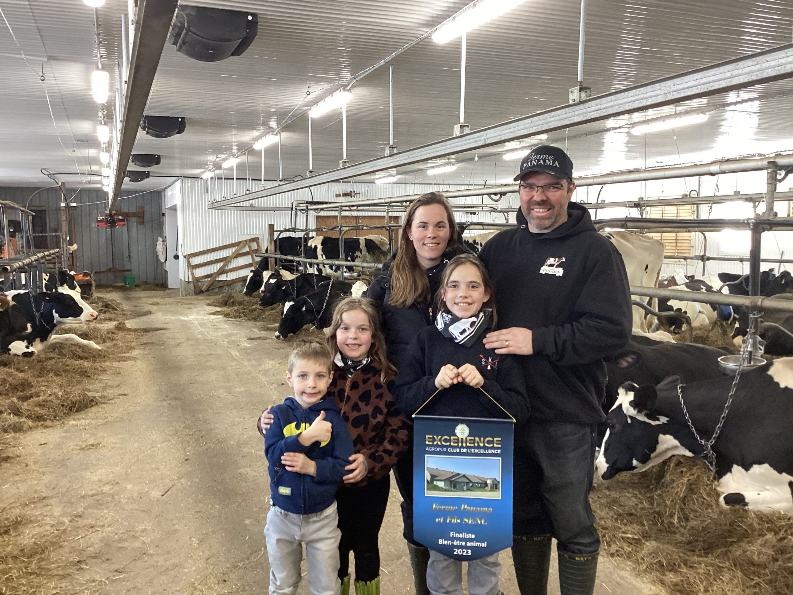 Propriété de Sophie Bédard et Dave Fortier Proulx, la Ferme Panama et Fils a remporté, en février 2024, le titre de Grand Champion - volet bien-être animal du Club de l'excellence d'Agropur.
