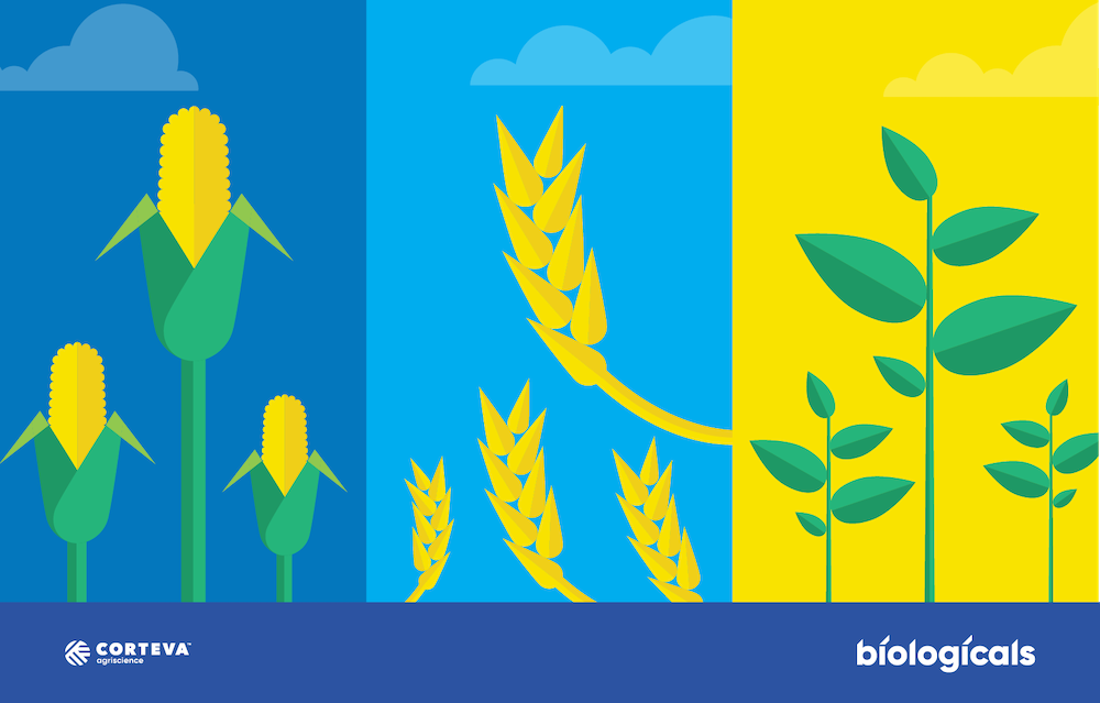 Agents biologiques : Un outil durable pour vous aider à améliorer votre rentabilité