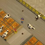 Mooving Cows