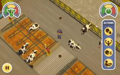 Mooving Cows