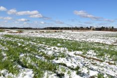 Accélération de l’augmentation de la valeur des terres agricoles