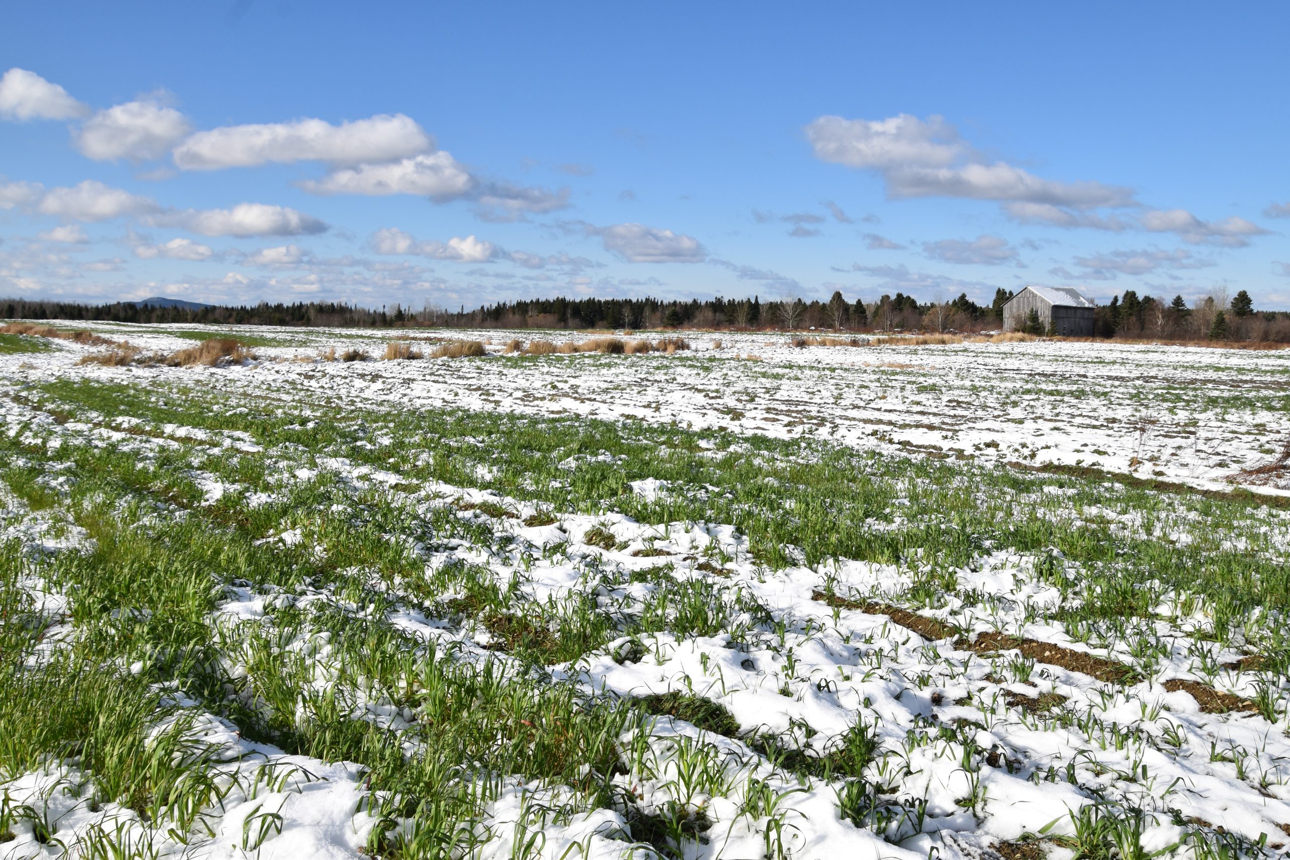 Accélération de l’augmentation de la valeur des terres agricoles