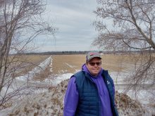 Kim Tourigny en bordure de ses champs en mars