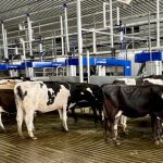 DeLaval, traite par lots, robots de traite