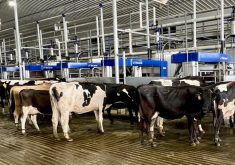 DeLaval, traite par lots, robots de traite