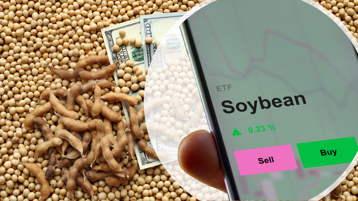 Le prix du soya à la hausse, une opportunité?