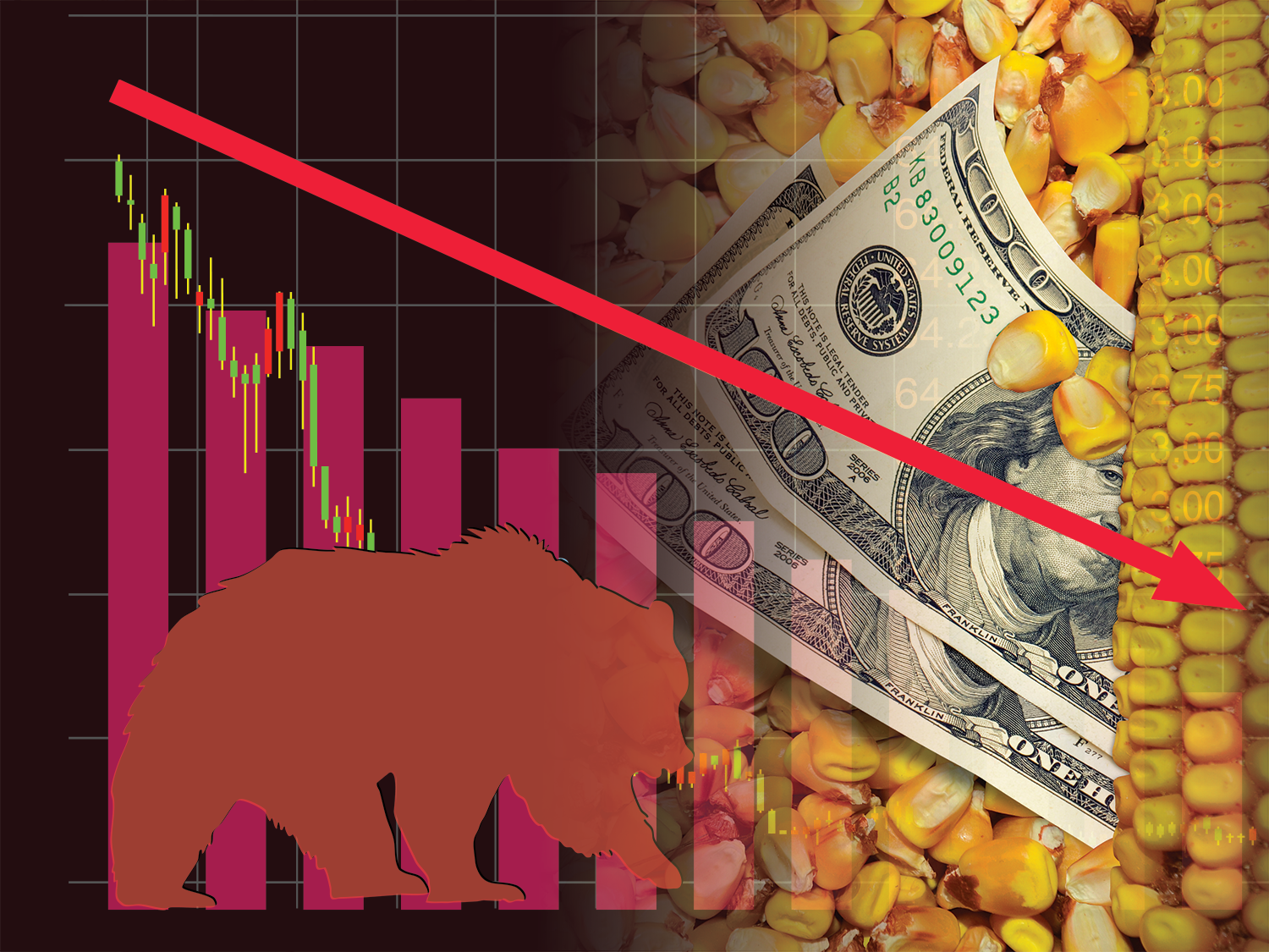 Prix des grains toujours sous pression, et la suite?