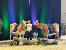 Championne Suprême
CHALUKA TUXEDO XERA
Propriété de la Ferme Du Bois Brulé inc.Championne Suprême de réserve:
VALEPIERRE ARTISAN ALICE
Propriété de B. Lehoux et fils inc