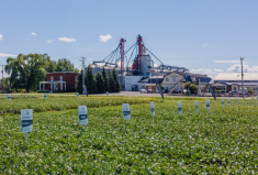 Le siège social de Ceresco