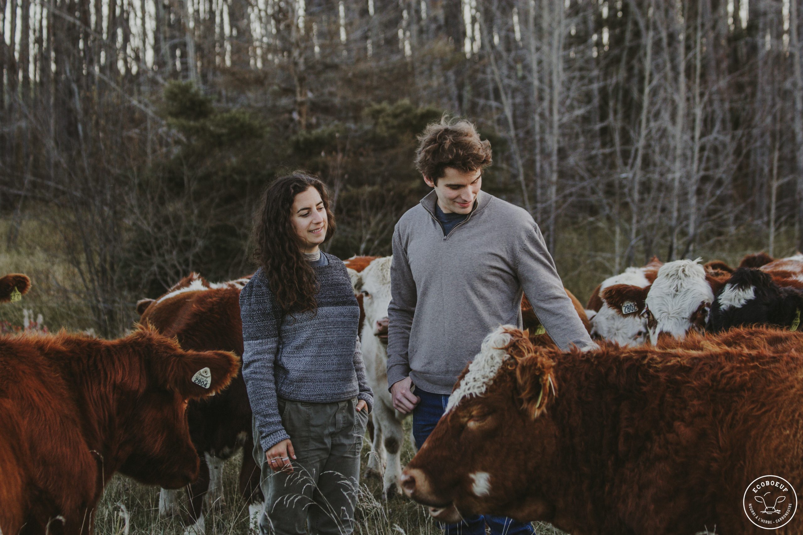 Le ferme Écoboeuf a remporté le Prix de l'intendance environnementales - Québec