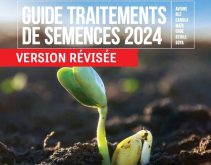 Place aux traitements de semences