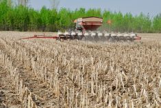 Bien ajuster le planteur pour plus de rendement