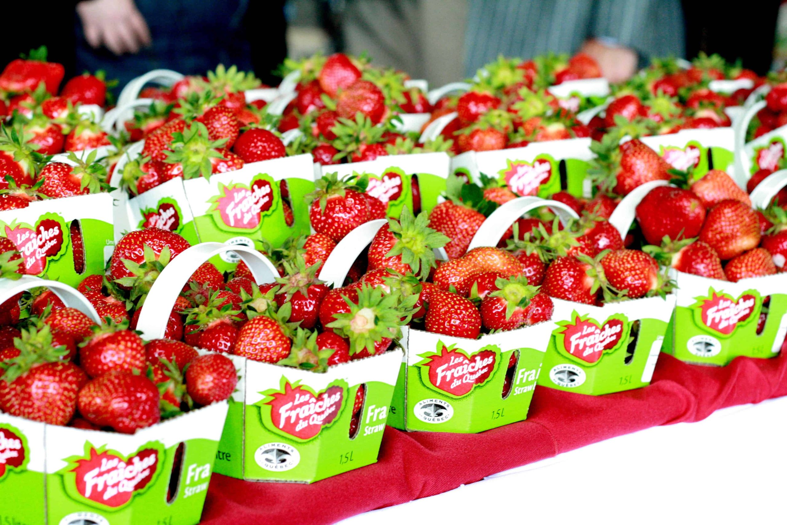 Les fraises du Québec  arrivent chez les détaillants