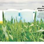 Magazine de juin 2024 du Bulletin des agriculteurs