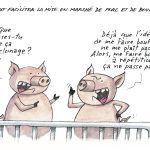Le clonage ne passe pas!